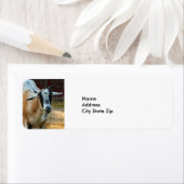 かわいいヤギ食べ物の干し草の写真 ラベル (インサイチュ)