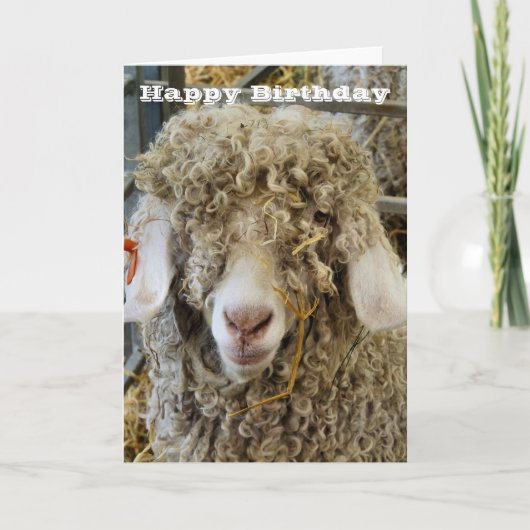 かわいいヤギ カード (正面)