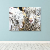 かわいいヤギ キャンバスプリント (インサイチュ (ウッドフロア))