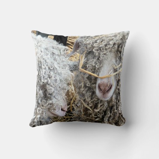 かわいいヤギ クッション (裏面)