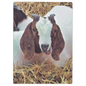 かわいいヤギ クリップボード (裏面)