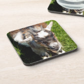 かわいいヤギ コースター (左側)