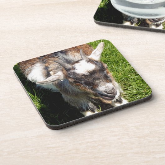 かわいいヤギ コースター (左側)