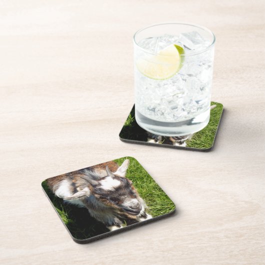 かわいいヤギ コースター (右側)