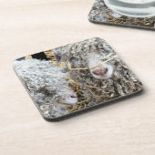 かわいいヤギ コースター (左側)