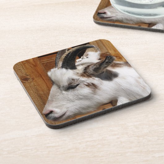 かわいいヤギ コースター (左側)