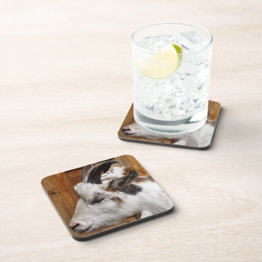 かわいいヤギ コースター (右側)