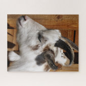 かわいいヤギ ジグソーパズル (横)