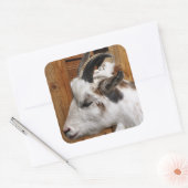 かわいいヤギ スクエアシール (封筒)