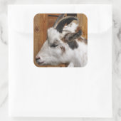 かわいいヤギ スクエアシール (バッグ)