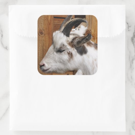 かわいいヤギ スクエアシール (バッグ)