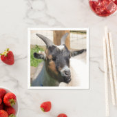 かわいいヤギ スタンダードカクテルナプキン (インサイチュ)