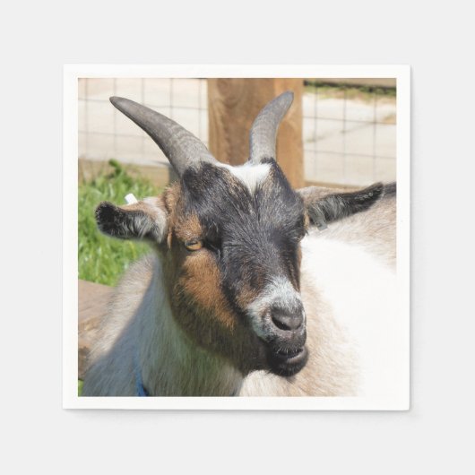 かわいいヤギ スタンダードカクテルナプキン (正面)