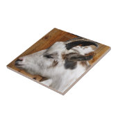 かわいいヤギ タイル (側面)