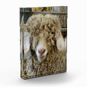 かわいいヤギ フォトブロック (左)