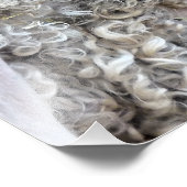 かわいいヤギ フォトプリント            (角)