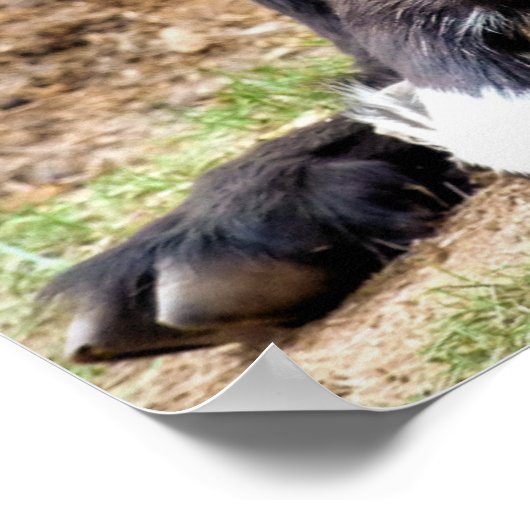 かわいいヤギ ポスター (角)