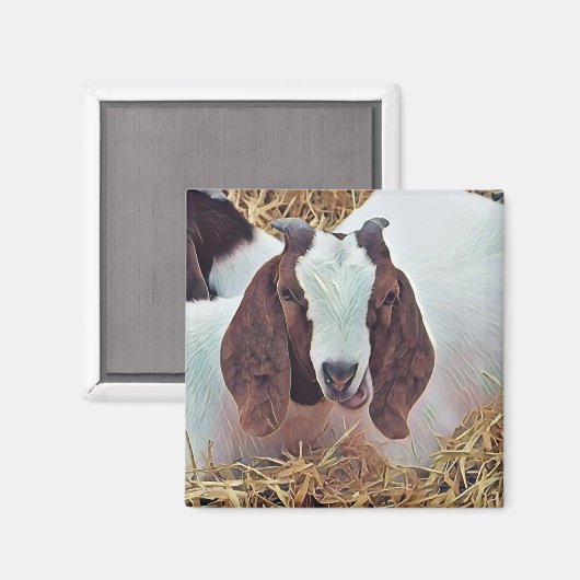 かわいいヤギ マグネット (正面/裏面)