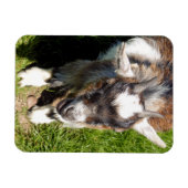 かわいいヤギ マグネット (横)