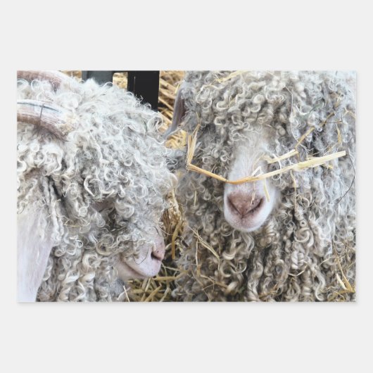 かわいいヤギ ラッピングペーパーシート (正面)