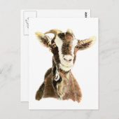 かわいいヤギ、動物、ファームペット ポストカード (正面/裏面)