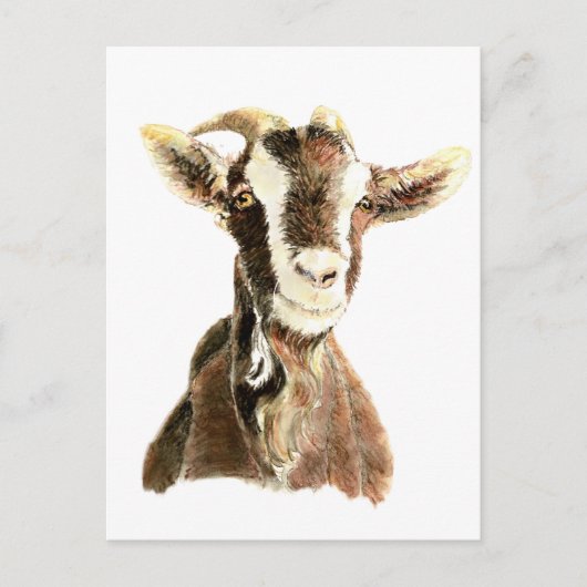 かわいいヤギ、動物、ファームペット ポストカード (正面)