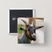 かわいいヤギ 缶バッジ (正面&裏面)