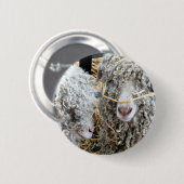 かわいいヤギ 缶バッジ (正面&裏面)