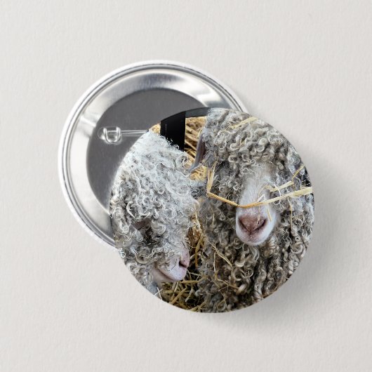 かわいいヤギ 缶バッジ (正面&裏面)