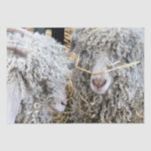 かわいいヤギ 薄葉紙 (正面)