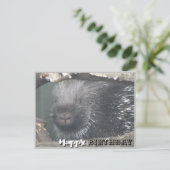 かわいいヤマアラシの顔のDIYハッピーバースデーポストカード ポストカード (スタンド正面)
