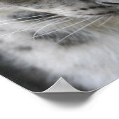 かわいいユキヒョウのポスター ポスター (角)