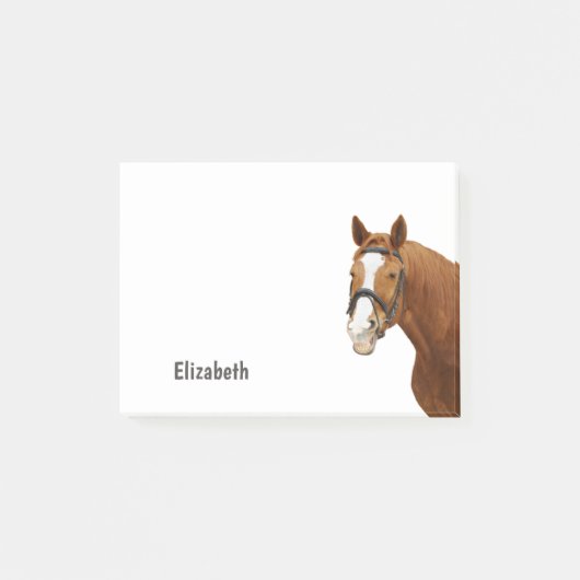 かわいいユーモアのある馬のパーソナライズ名 ポストイット (正面)