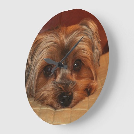 かわいいヨークシャテリア犬 ラージ壁時計 (傾斜)
