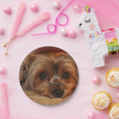 かわいいヨークシャーのテリア、ヨークシャーテリアの子犬 ペーパープレート (パーティー)