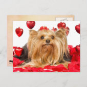 かわいいヨークシャーテリアのバレンタイン シーズンポストカード (正面/裏面)