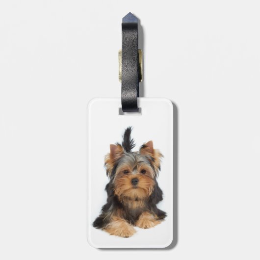 かわいいヨークシャーテリアの子犬 ラゲッジタグ (裏面縦)