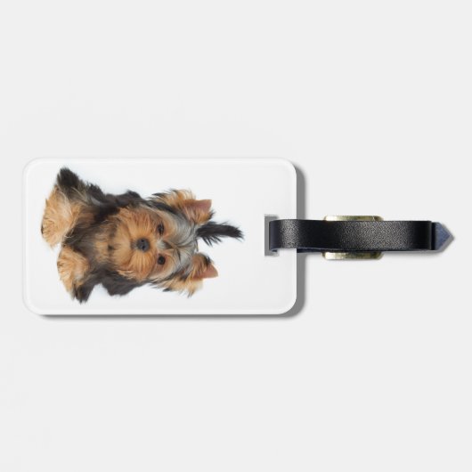 かわいいヨークシャーテリアの子犬 ラゲッジタグ (裏面横)