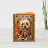 かわいいヨークシャーテリアハロウィーンバッシュ招待状 招待状 (正面)