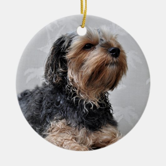 かわいいヨークシャーテリアヨークシャーテリアサンバス セラミックオーナメント (正面)