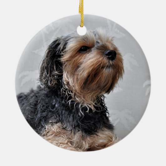 かわいいヨークシャーテリアヨークシャーテリアサンバス セラミックオーナメント (裏面)
