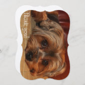 かわいいヨークシャーテリアワンピー犬 サンキューカード (正面/裏面)