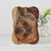 かわいいヨークシャーテリアワンピー犬 サンキューカード (スタンド正面)