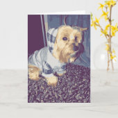 かわいいヨークシャーテリア犬のプリドフード付きスウェットシャツ子犬タン カード (黄色い花)