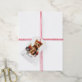 かわいいヨークシャーテリア犬 ギフトタグ (より糸付き)