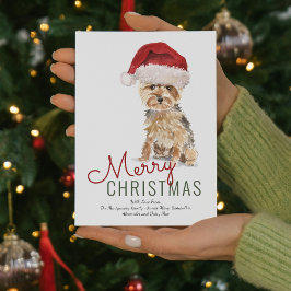 かわいいヨークシャーテリア サンタ帽子 メリークリスマス シーズンカード