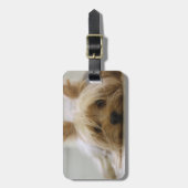 かわいいヨークシャーテリア ラゲッジタグ (正面縦)