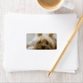 かわいいヨークシャーテリア ラベル (インサイチュ)