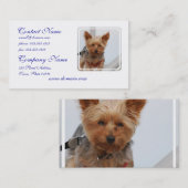 かわいいヨークシャーテリア 名刺 (正面/裏面)