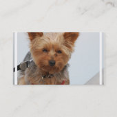 かわいいヨークシャーテリア 名刺 (裏面)